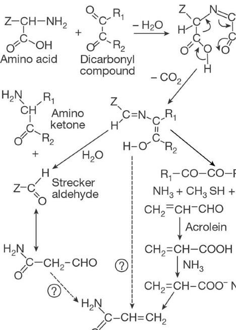 Acrylamide